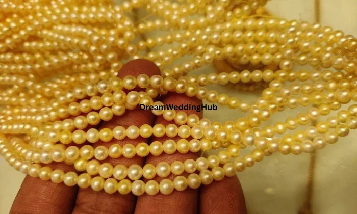 Shree Sai Gold Palace